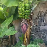 Ideales Familienhaus Mit Freiem Stadt- Und Meerblick By Interhome Funchal (Madeira)