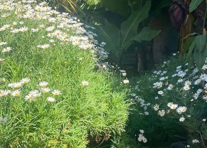 בית נופש Ideales Familienhaus Mit Freiem Stadt- Und Meerblick By Interhome *