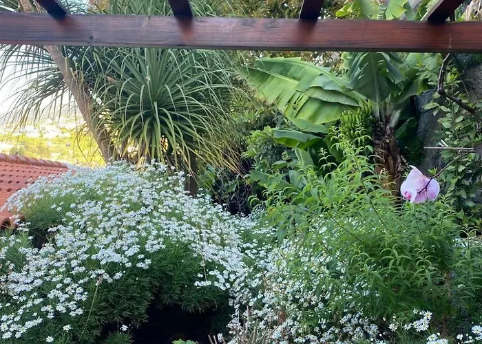 بيت للعطل Ideales Familienhaus Mit Freiem Stadt- Und Meerblick By Interhome فونشال