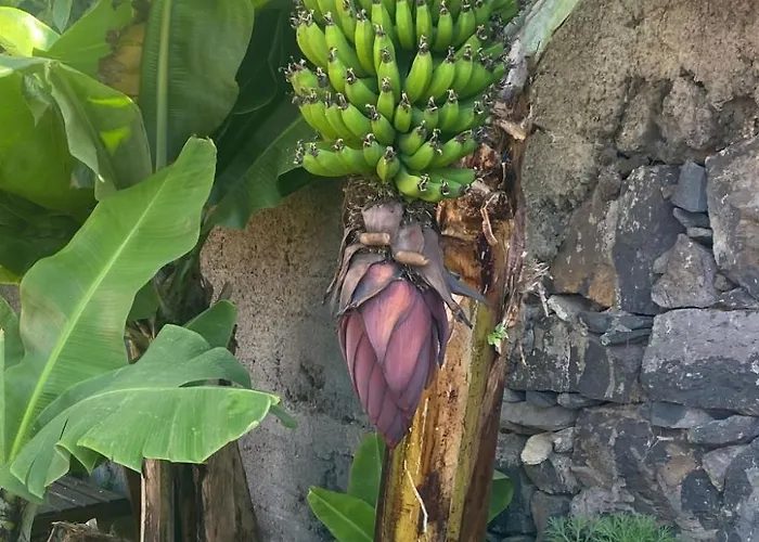 Ideales Familienhaus Mit Freiem Stadt- Und Meerblick By Interhome فونشال
