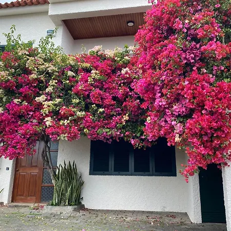 Ideales Familienhaus Mit Freiem Stadt- Und Meerblick By Interhome *